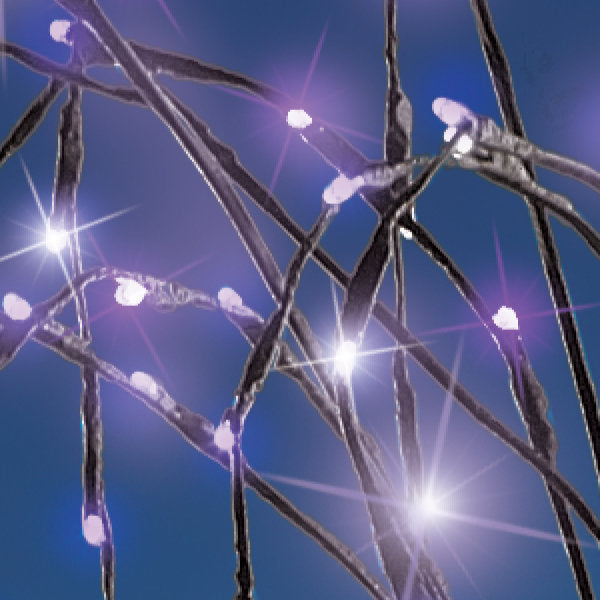 Lighted Trees & Branches